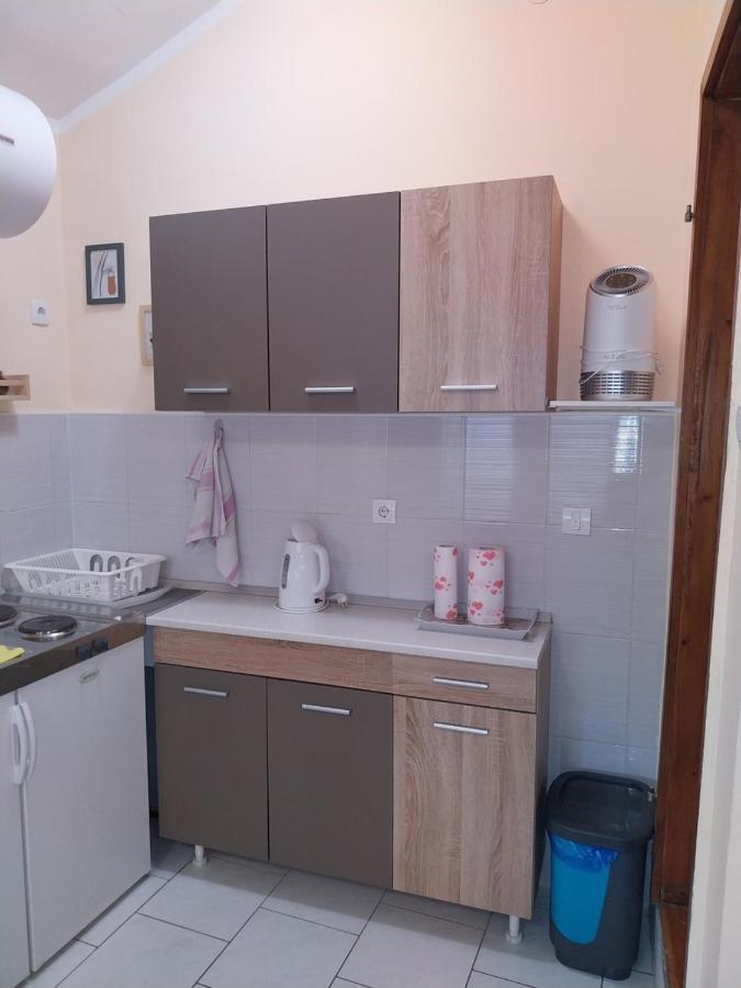 Apartmani Vukan Nowy Sad Zewnętrze zdjęcie