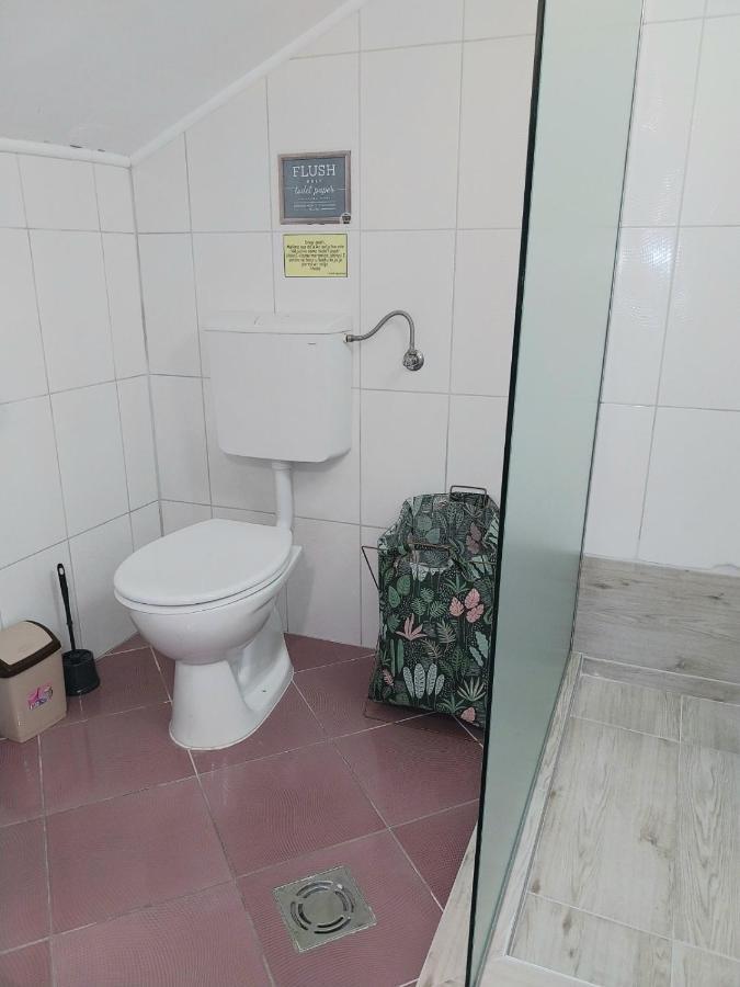 Apartmani Vukan Nowy Sad Zewnętrze zdjęcie